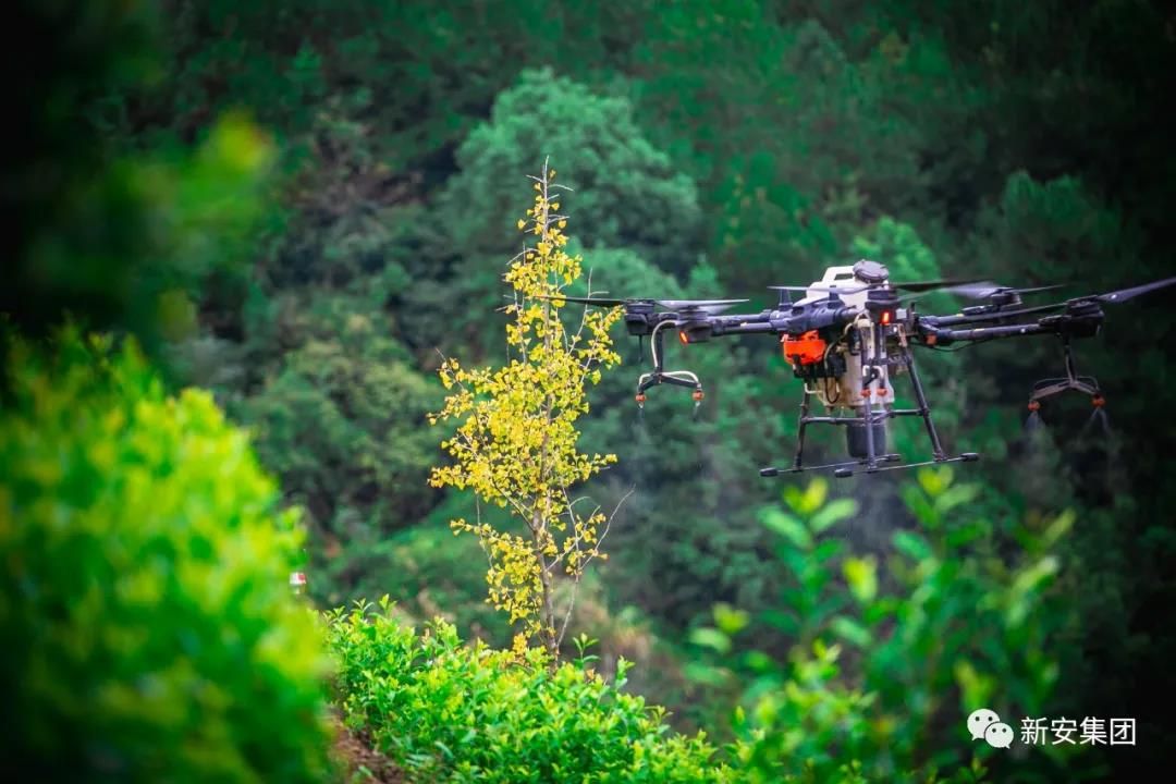 16020540953524337ltd.jpg 16020540953524337ltd.jpg