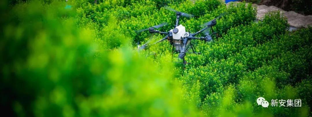 1602054095352433dScc.jpg 1602054095352433dScc.jpg